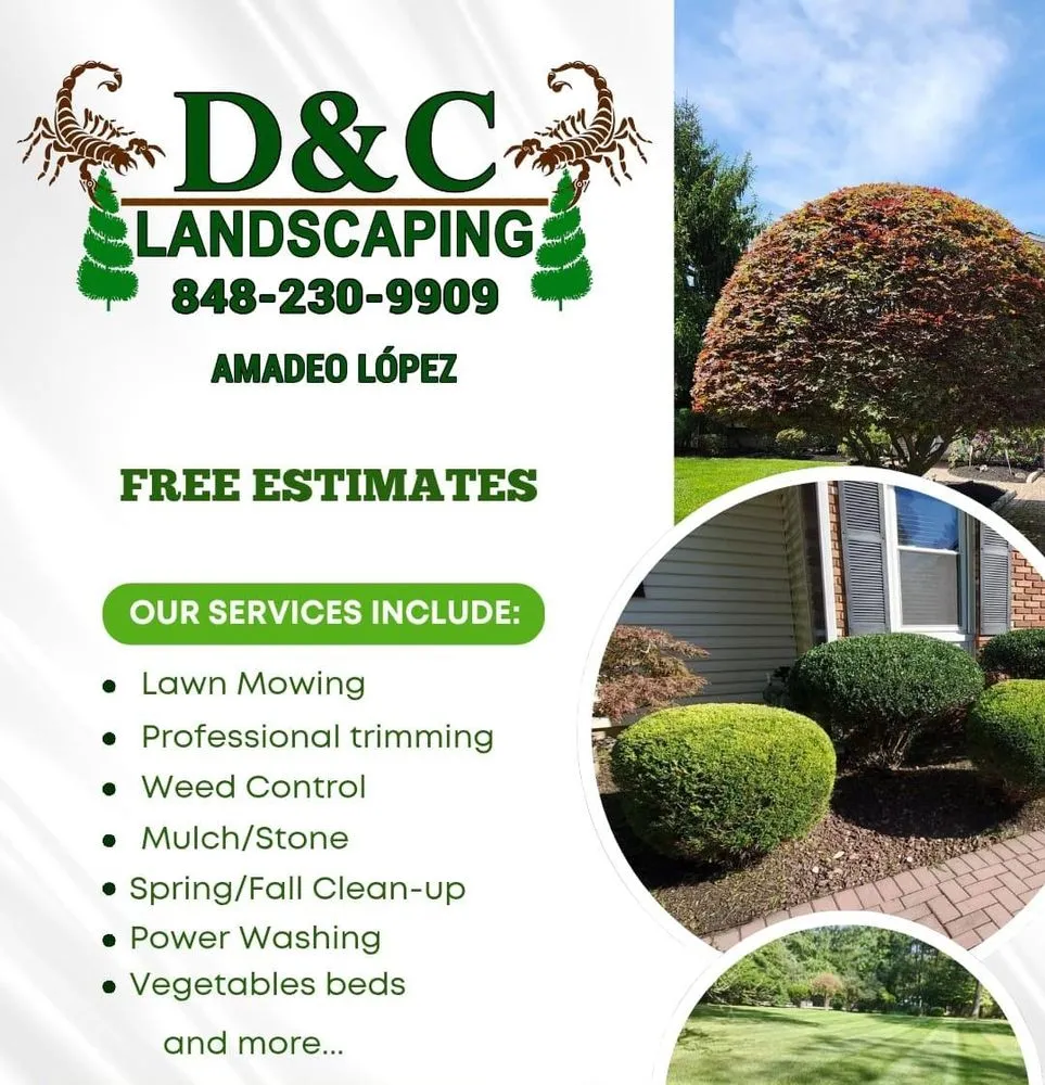 Custom landscape design in South River, NJ - D&C Landscaping