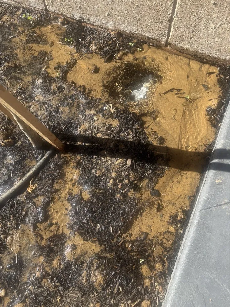 Affordable lawn mowing service experts serving Vallejo, CA - D&C Landscaping