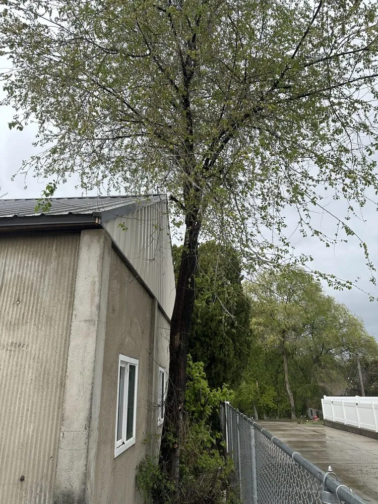 Top-rated outdoor landscaping in Santaquin, UT - DC Landworks