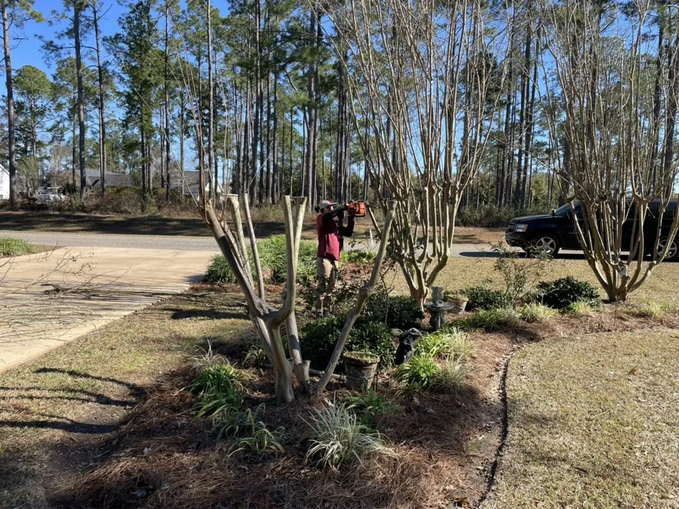 Professional garden landscaping near you in Bainbridge, GA by DC Lawn and Landscape