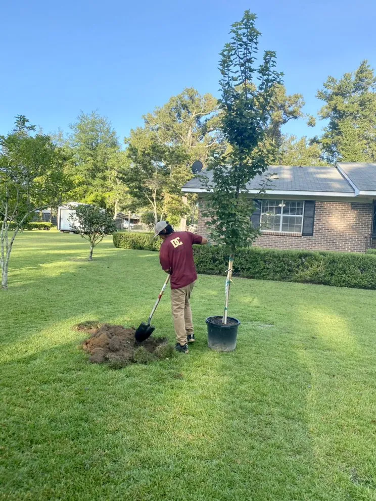 Professional lawn mowing service in Bainbridge, GA - DC Lawn and Landscape