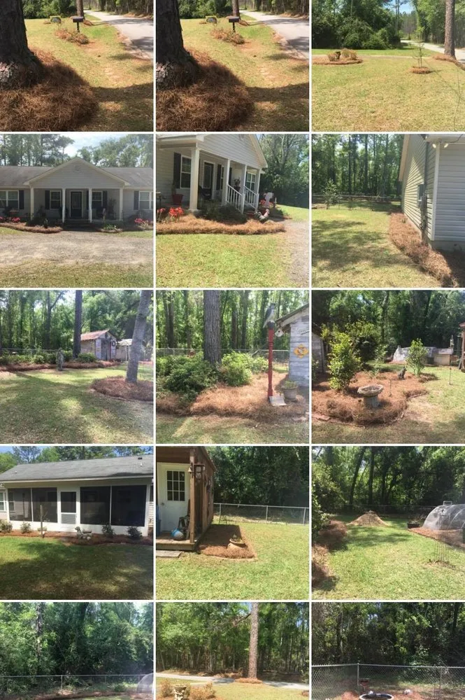 Professional landscape installation in Bainbridge, GA - DC Lawn and Landscape