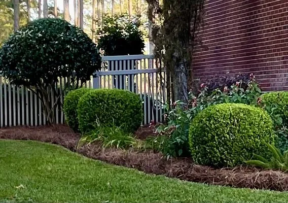 DC Lawn and Landscape