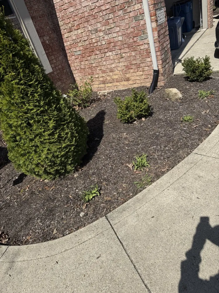 Trusted landscaping services experts serving Roann, IN - DC Lawn and Landscaping