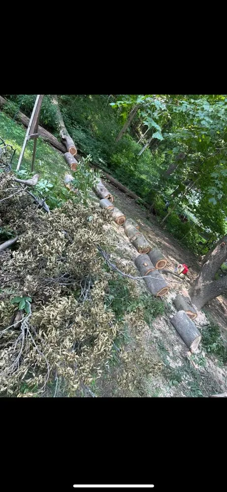 Professional residential landscaping with custom design across Roann, IN - DC Lawn and Landscaping
