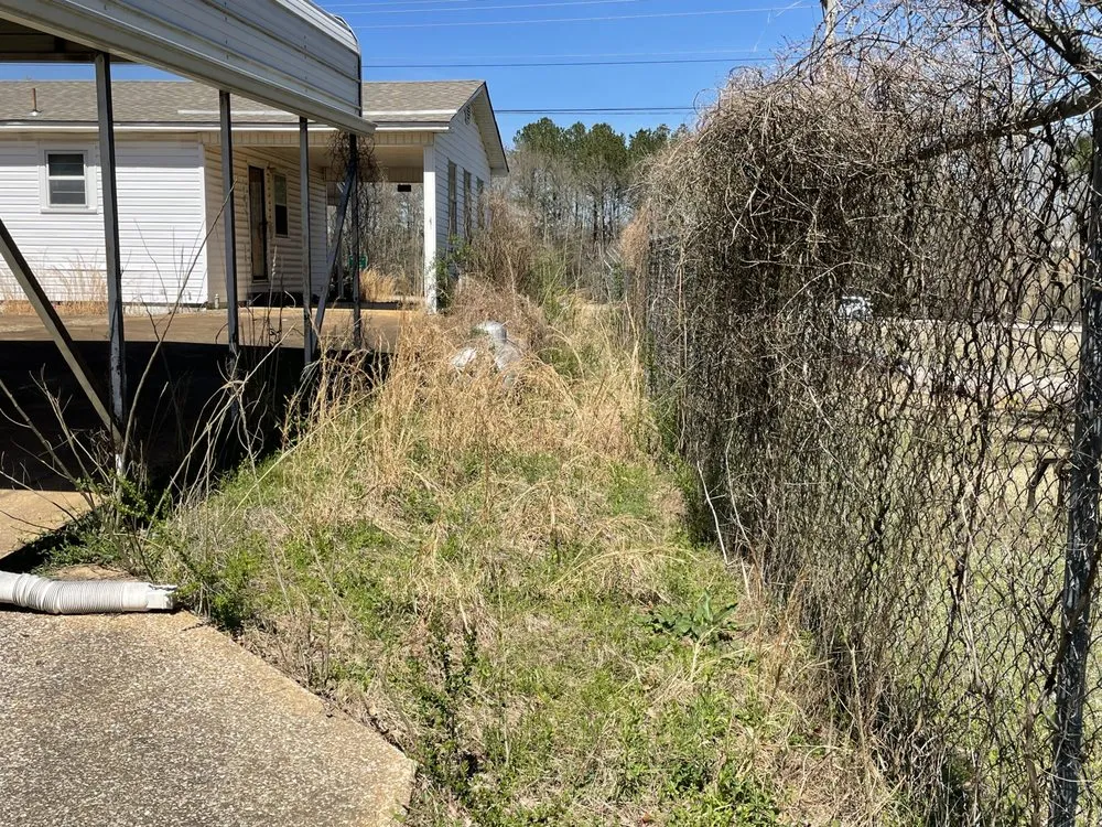 Local yard cleanup service in Booneville, MS - DC Lawn Care