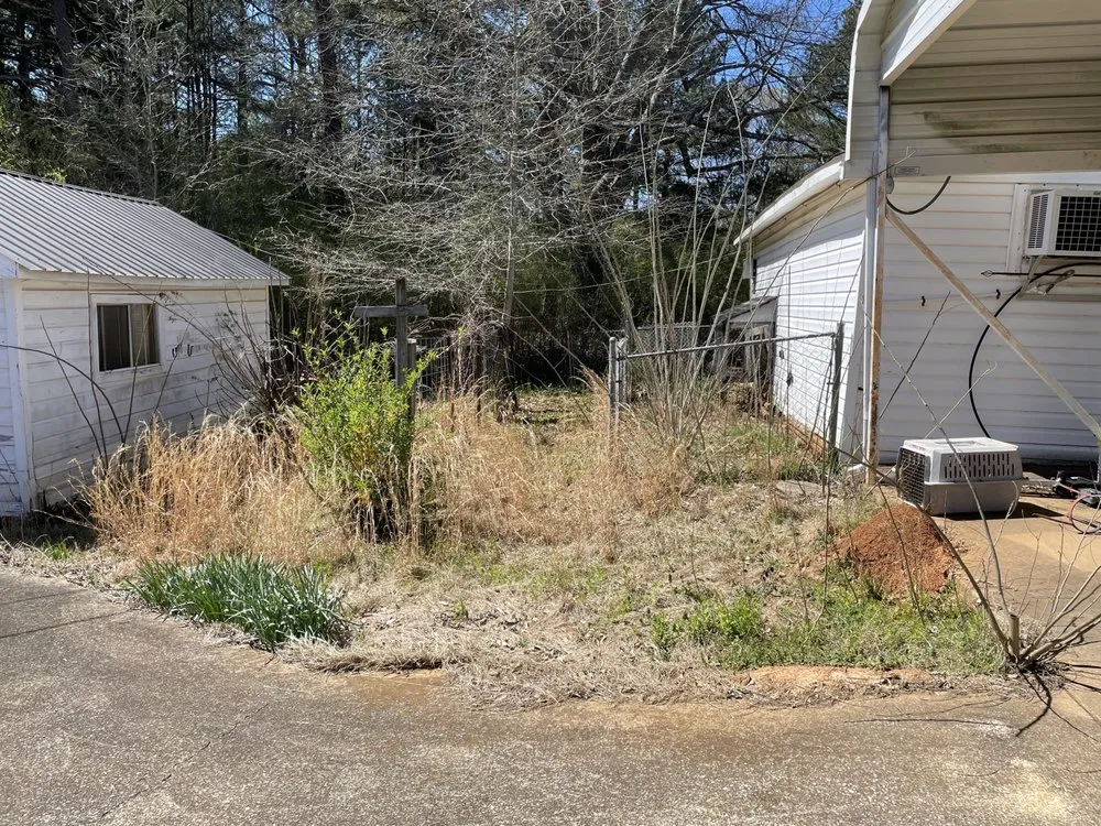 Local yard cleanup service in Booneville, MS by DC Lawn Care