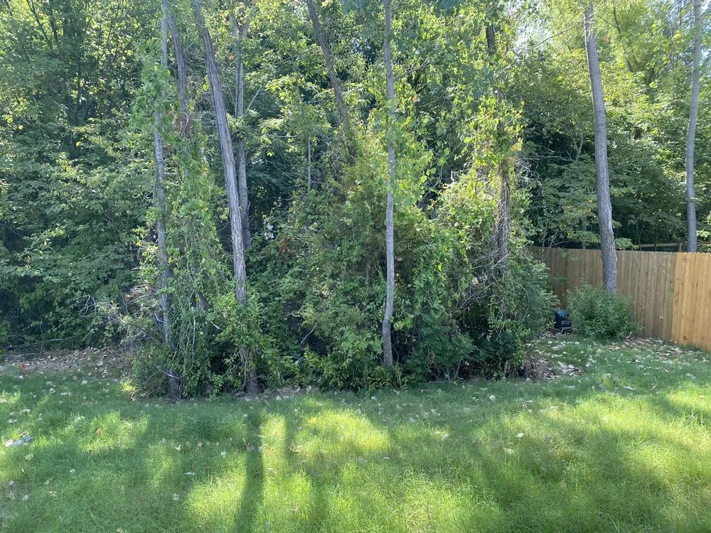 Reliable yard cleanup service in Collinsville, OK by D&C Lawn Care