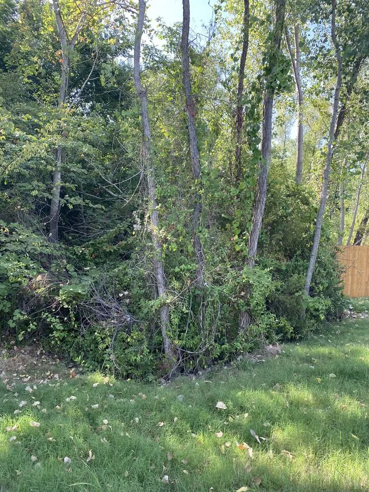 Affordable residential landscaping for beautiful yards across Collinsville, OK - D&C Lawn Care