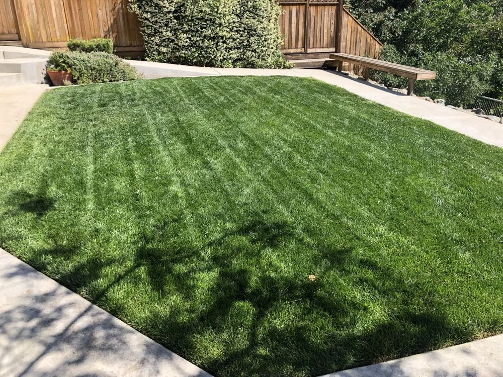 Top-rated lawn mowing service in Porterville, CA - DC Lawn Care