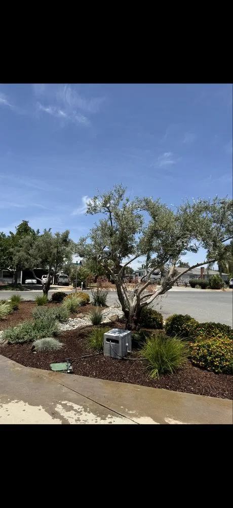 Local landscape installation experts serving Porterville, CA - DC Lawn Care