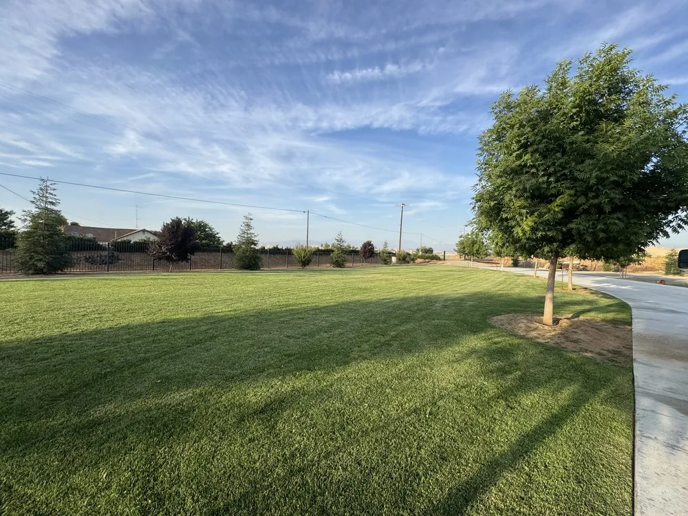 Top-rated landscape installation for homes across Porterville, CA - DC Lawn Care