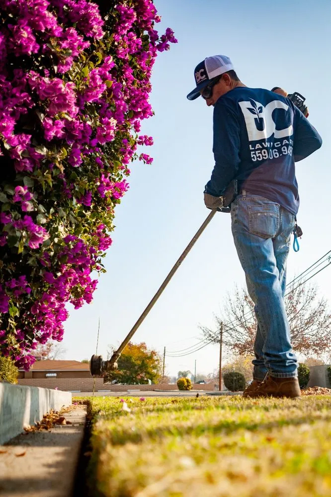 Local yard cleanup service in Porterville, CA by DC Lawn Care