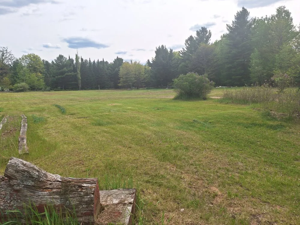 Professional landscaping services in Prescott, MI - D&C Lawn Care