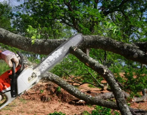 Expert landscaping services experts serving Central, SC - D&C Lawn Lift