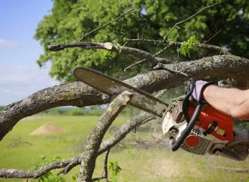 Trusted yard maintenance experts serving Central, SC - D&C Lawn Lift
