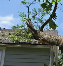 Top-rated landscape design in Central, SC - D&C Lawn Lift