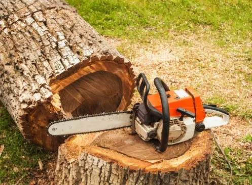 Trusted outdoor landscaping for outdoor upgrades across Central, SC - D&C Lawn Lift