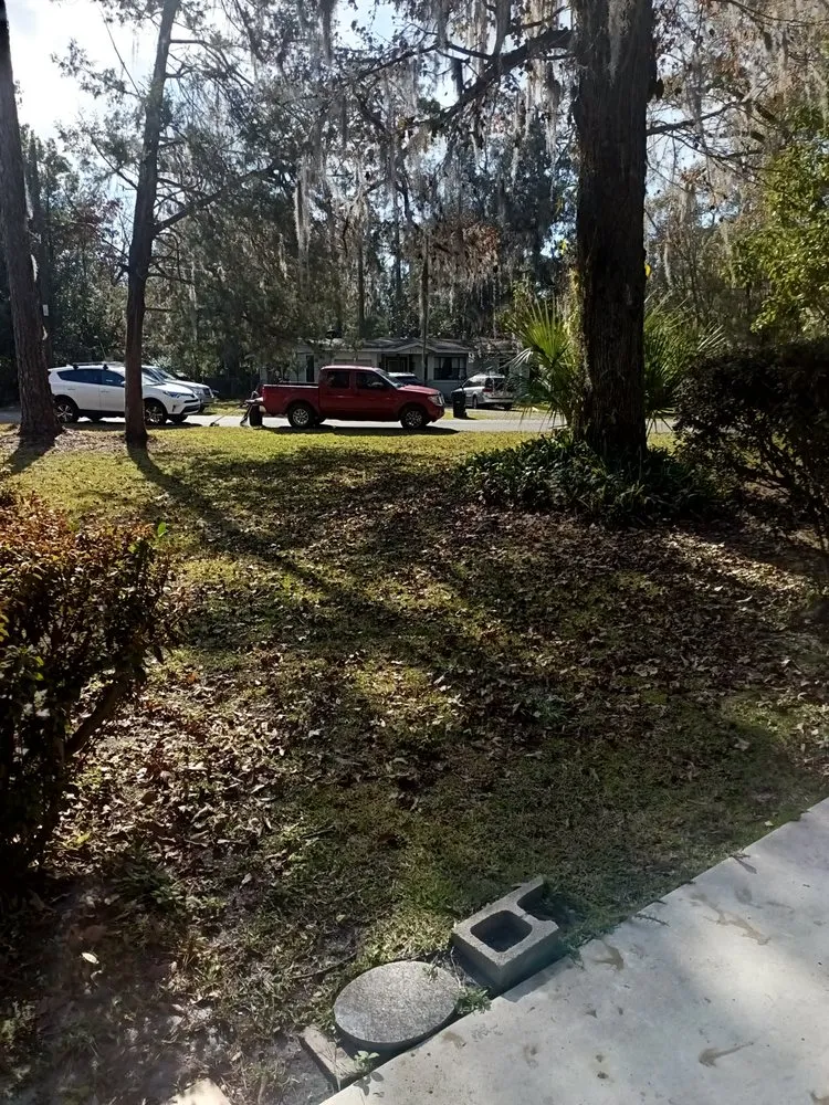 Professional landscaping services near you in Gainesville, FL by DC Lawn Service, Landscaping, Pressure Washing