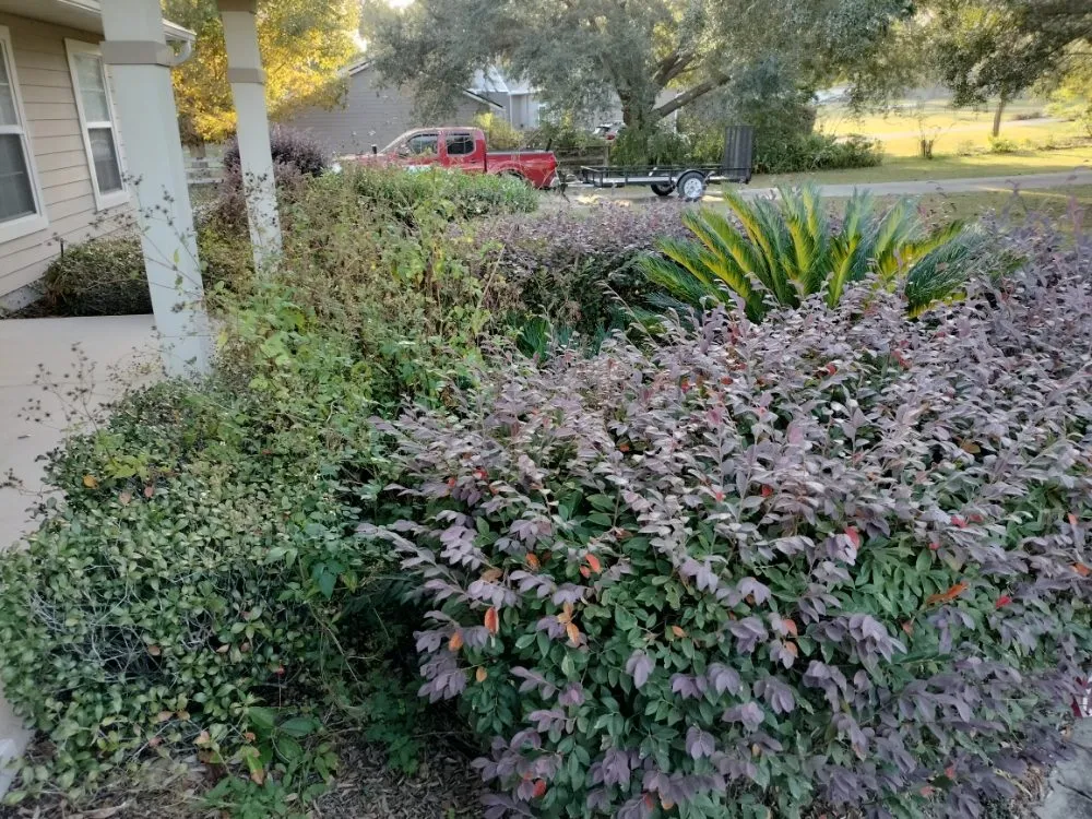 Trusted garden landscaping experts serving Gainesville, FL - DC Lawn Service, Landscaping, Pressure Washing