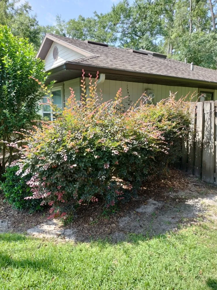 Reliable lawn mowing service in Gainesville, FL by DC Lawn Service, Landscaping, Pressure Washing