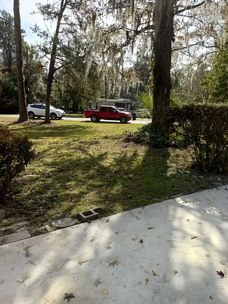 Custom garden landscaping in Gainesville, FL - DC Lawn Service, Landscaping, Pressure Washing