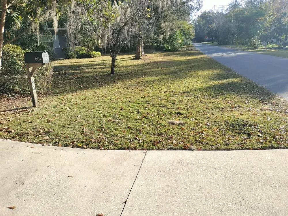 Top-rated residential landscaping experts serving Gainesville, FL - DC Lawn Service, Landscaping, Pressure Washing