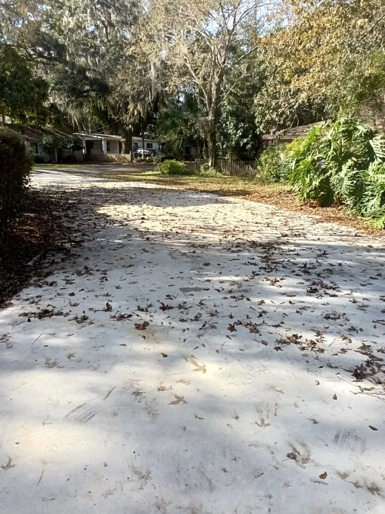 Professional garden landscaping for homes in Gainesville, FL by DC Lawn Service, Landscaping, Pressure Washing