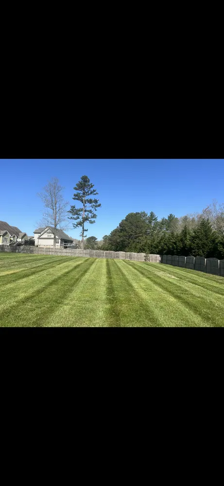 Custom lawn care service for beautiful yards across Chattanooga, TN - DC Lawncare and Excavation