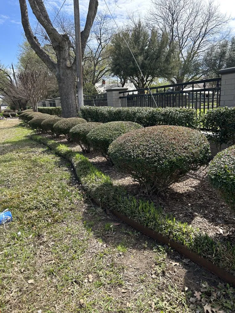 Custom landscape design for outdoor upgrades in Crandall, TX by D&C lawncare