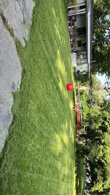 Dc Lawncare