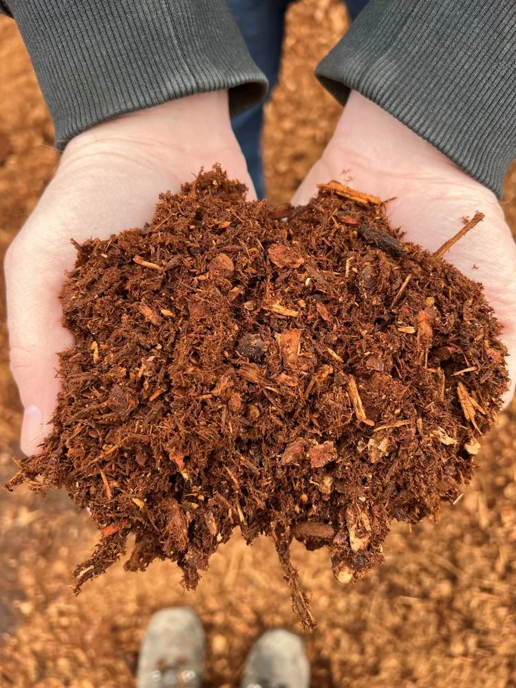 Professional yard cleanup service experts serving Everett, WA - DC Materials Inc.