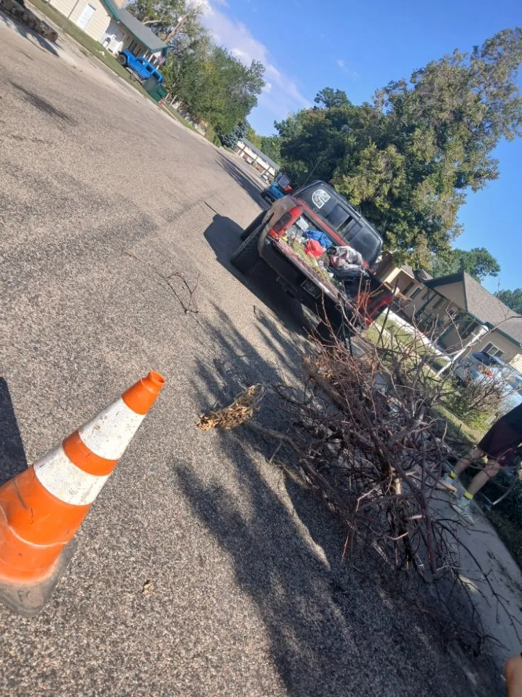 Top-rated landscape installation for year-round maintenance in Cañon City, CO by DC Mowing