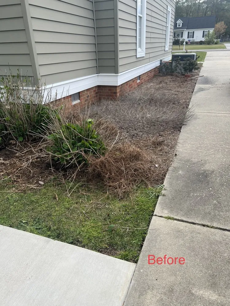 Professional garden landscaping for beautiful yards in Stantonsburg, NC by Dc Painting