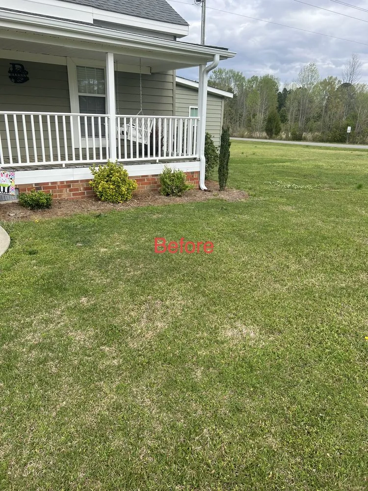 Professional lawn mowing service in Stantonsburg, NC - Dc Painting