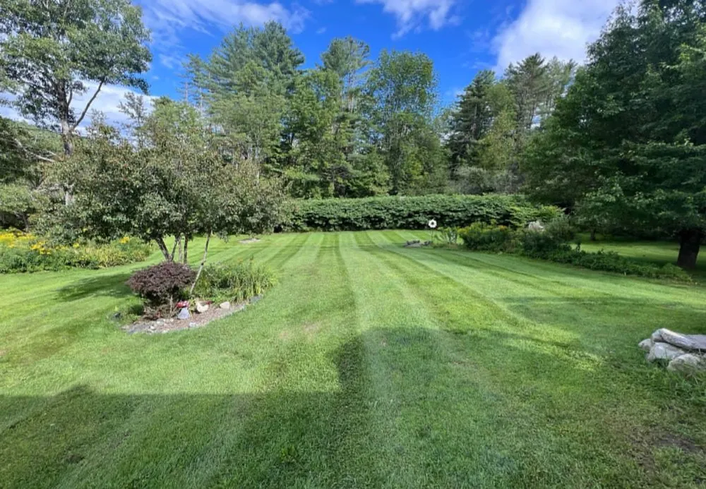 Professional lawn care service near you across Bradford, VT - Dc Property Management
