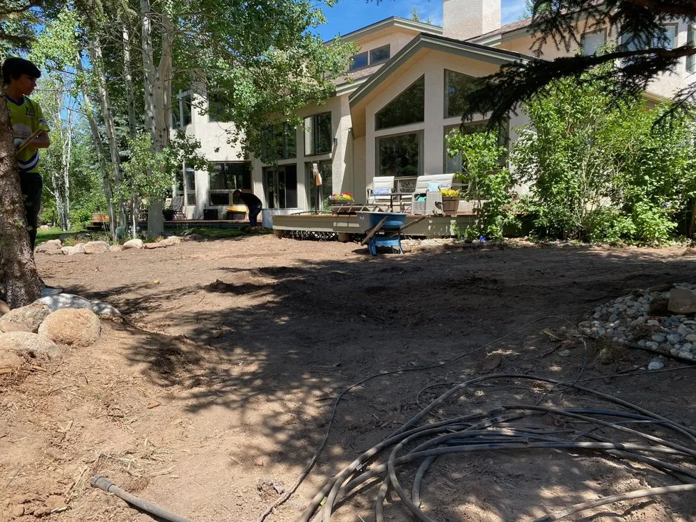 Trusted yard maintenance for beautiful yards across Denver, CO - DC Property Services