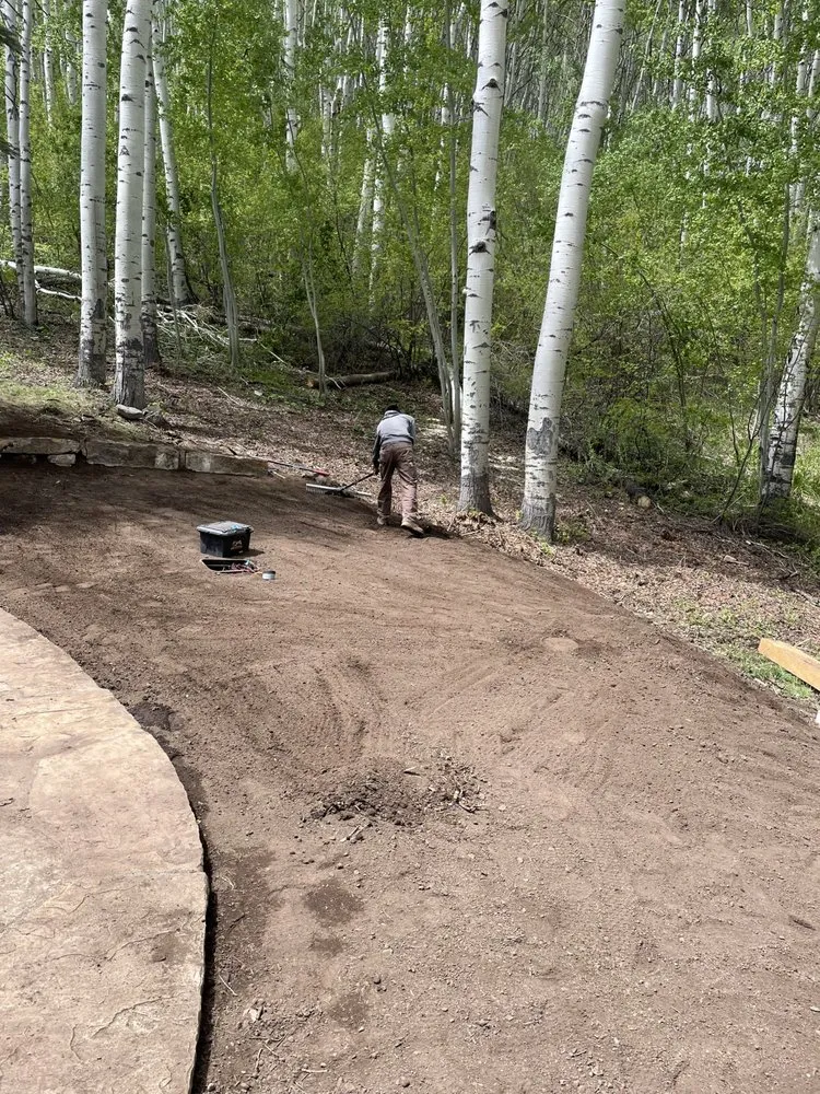 Reliable landscape installation in Denver, CO by DC Property Services