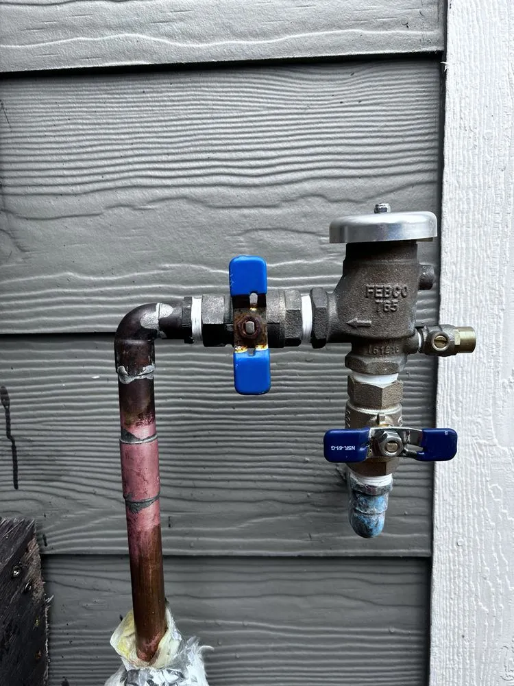 Trusted landscaping services for year-round maintenance across Denver, CO - DC Property Services