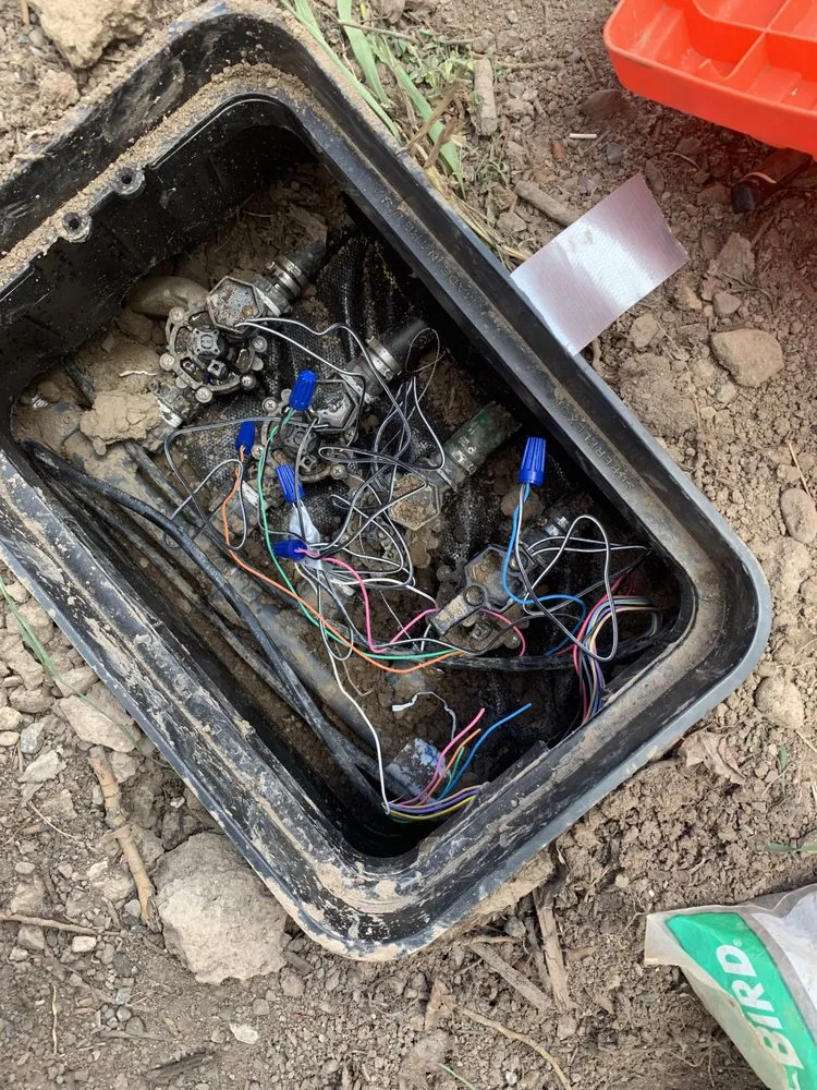 Custom yard cleanup service in Denver, CO - DC Property Services