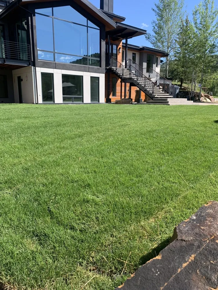 Trusted yard cleanup service for residential properties in Denver, CO by DC Property Services