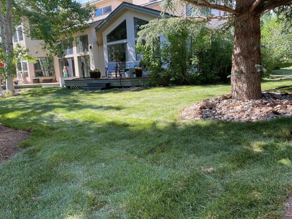 Expert landscaping services for residential properties in Denver, CO by DC Property Services