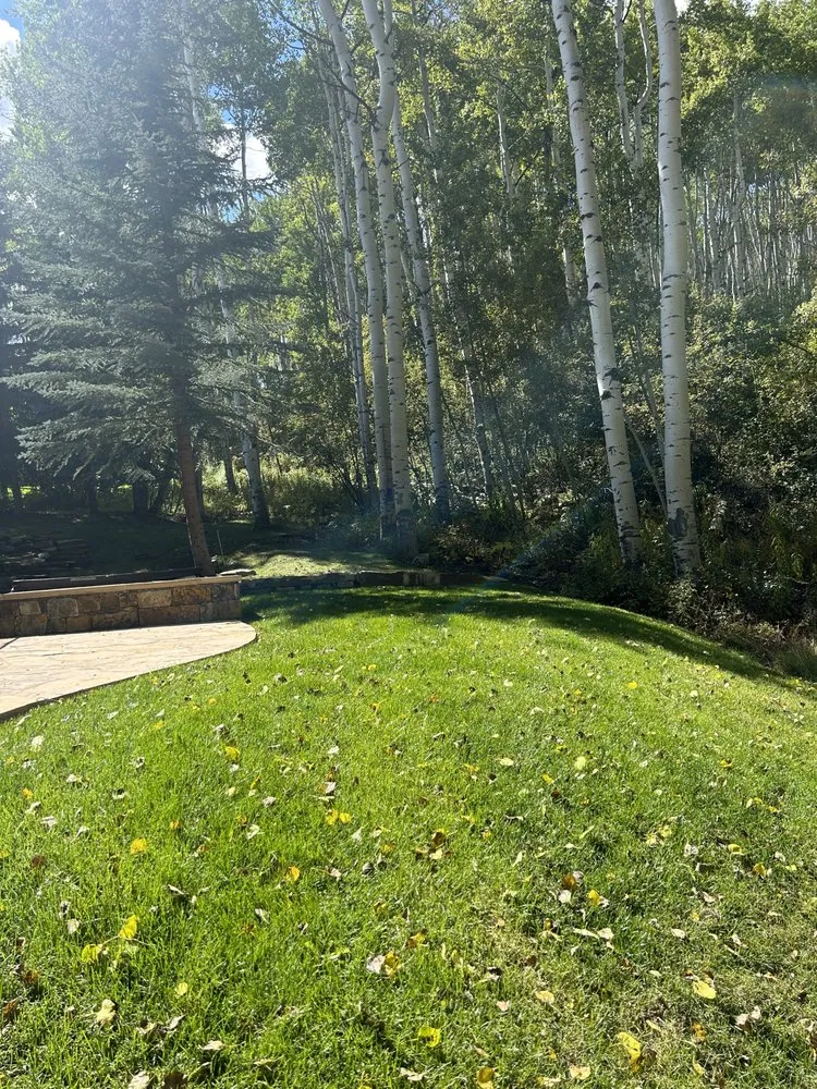 Reliable garden landscaping experts serving Denver, CO - DC Property Services