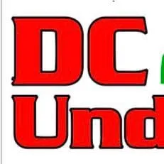 Custom yard cleanup service experts serving Knoxville, IA - DC Underground