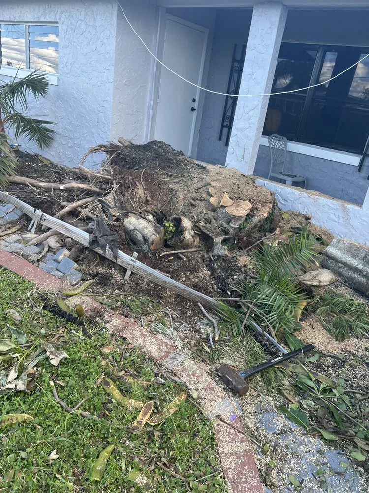 Trusted lawn care service experts serving Fort Myers, FL - DCA Lawn & Cleaning Services