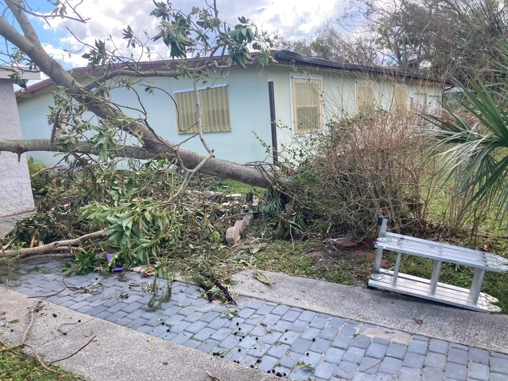 Affordable landscape design in Fort Myers, FL by DCA Lawn & Cleaning Services