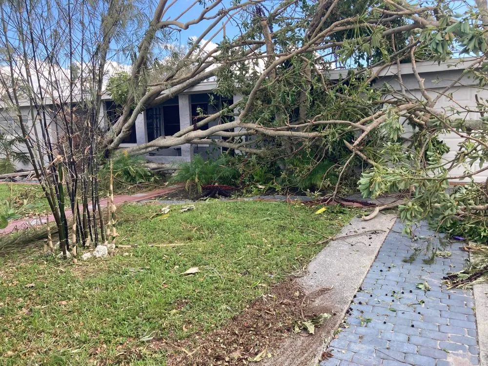 Local yard maintenance in Fort Myers, FL - DCA Lawn & Cleaning Services