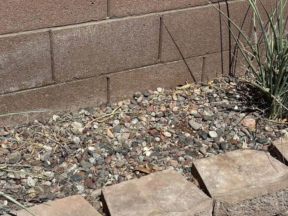 Expert lawn care service in Manor, TX by Dcancio Landscape