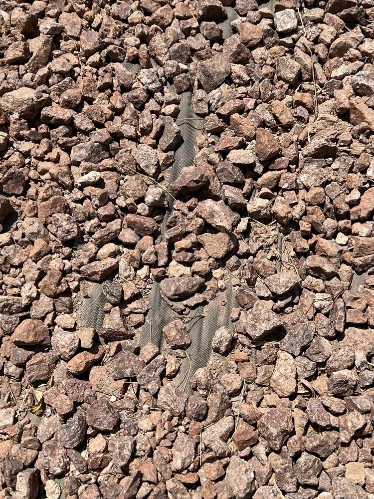 Trusted landscaping services for beautiful yards in Manor, TX by Dcancio Landscape