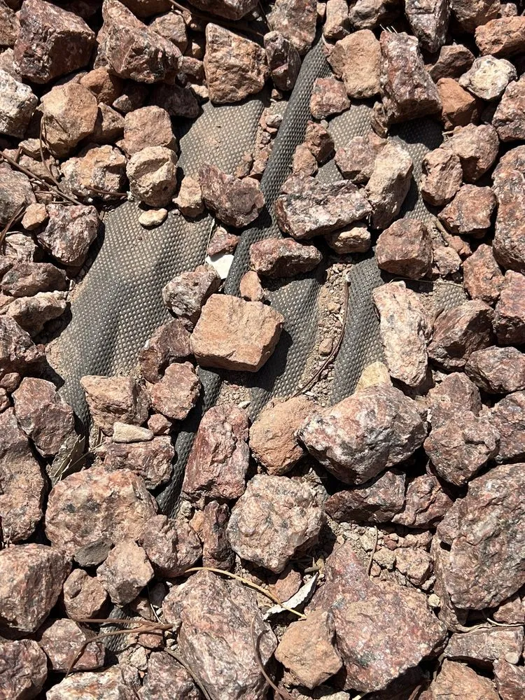 Local yard maintenance in Manor, TX by Dcancio Landscape